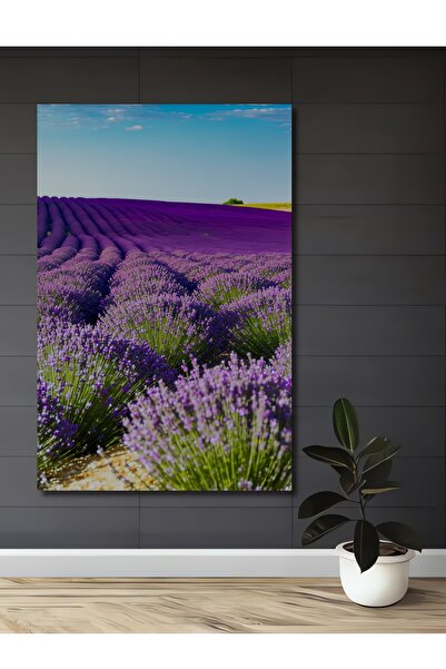 Teona Ahşap Lavanta Tarlası Yağlı Boya Görünümlü Ahşap Dekoratif Dikdörtgen S...