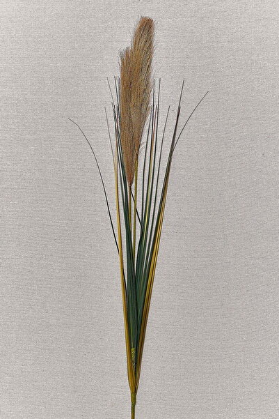 Paşabahçe Grass 92 cm Kahverengi