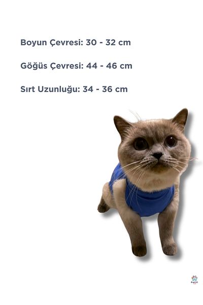 Patili Avm Cat Dog Postoperative Protection Coverall – Comfortable and Durable with Velcro