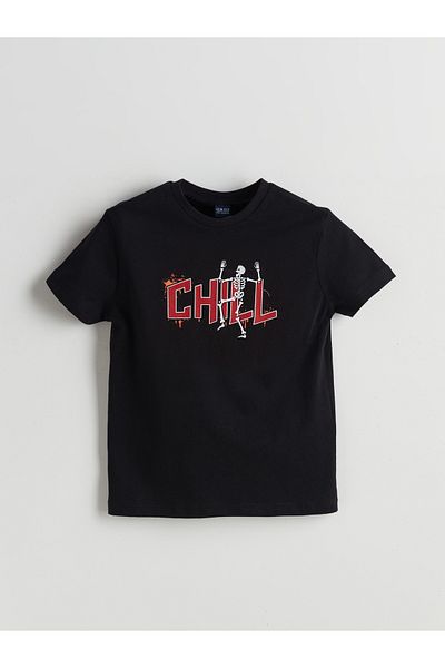 LC Waikiki Crew Neck Boy's T-Shirt