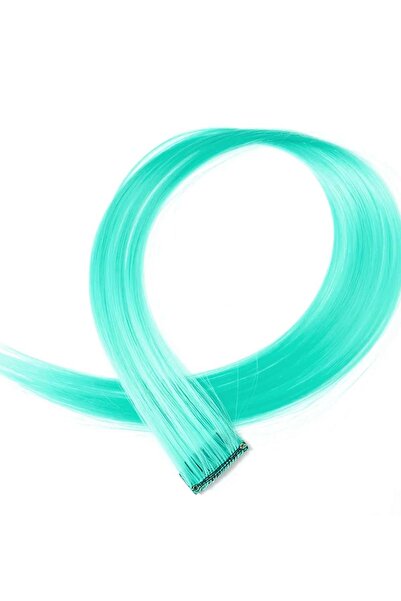 New Obsessions وصلة شعر صناعية طويلة ومستقيمة