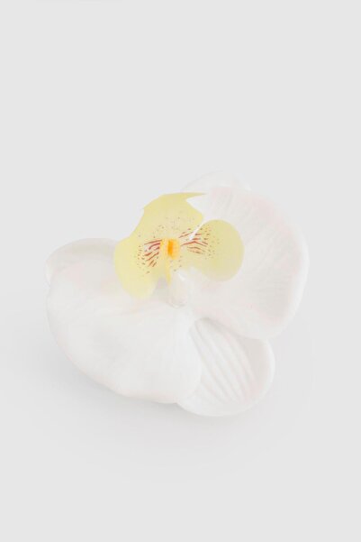 New Obsessions Orchid Buckle - Aloha Collar with Pearl Detail