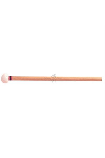 Adams Hard Timpani Uterus Tr1 Mltr1