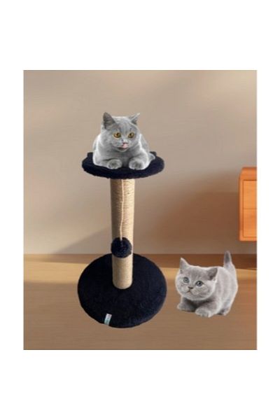 Reyo Pet Stepli Cat Scratching Board Black