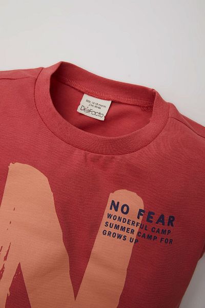 DeFacto Baby Boy Crew Neck Printed T-Shirt - Short Sleeve C7847A524Sm