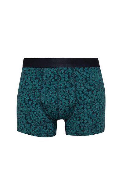DeFacto Gemustertes 3-teiliges Boxer-Set für Herren – T4935az24au