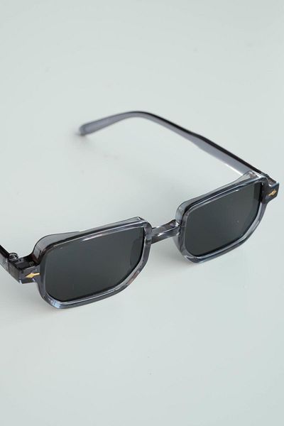 WATCHOFROYAL Royal Eyewear Re1022 Shiny Gray Sunglasses