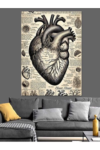 Tablomega Anatomical Heart and Old Drawings Decorative Canvas - Mdf Wooden Painting