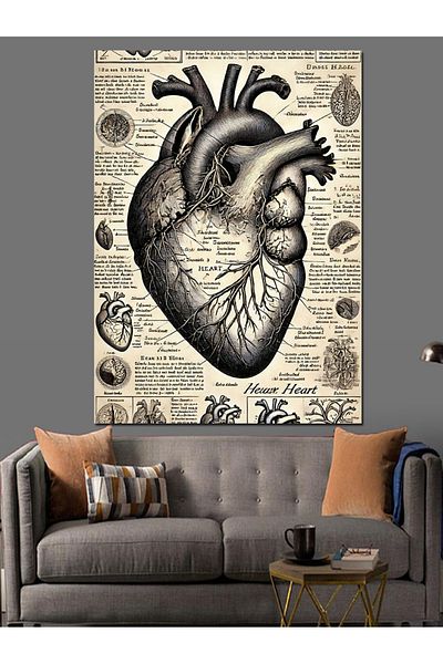 Tablomega Anatomical Heart and Old Drawings Decorative Canvas - Mdf Wooden Painting