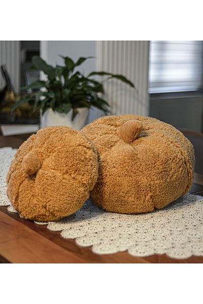 Pandamkee Decorative 2-Piece Plush Pumpkin Throw Pillow