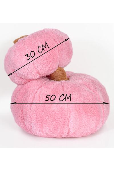 Pandamkee Paptex Decorative 2-Piece Plush Pumpkin Throw Pillow