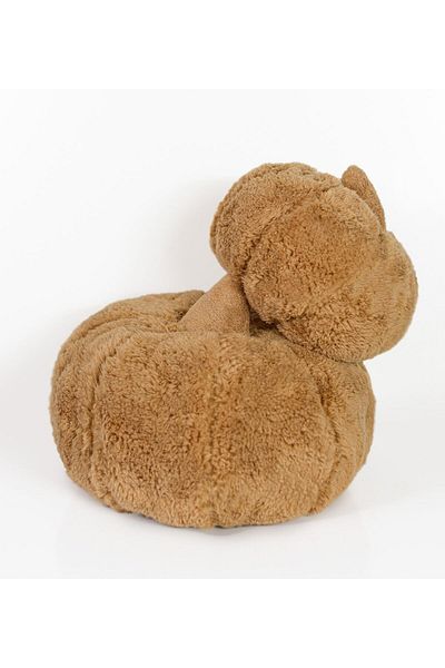 Pandamkee Decorative 2-Piece Plush Pumpkin Throw Pillow