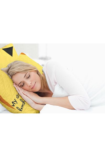 ALCAM Set Of 2 Fantasy Pillows, Quilted Microfiber, 70x70 Cm