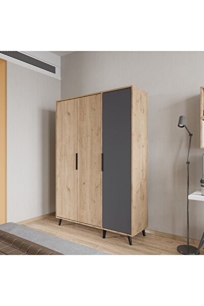 ALONEX Aden 3 Kapaklı Gardırop, Elbise Dolabı Sepet-antrasit