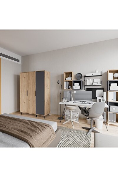 ALONEX Aden 3 Kapaklı Gardırop, Elbise Dolabı Sepet-antrasit