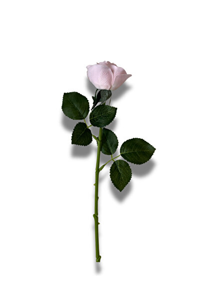 NilCan Flora Yapay Çiçek Islak Dokulu Küçük Pembe Gül