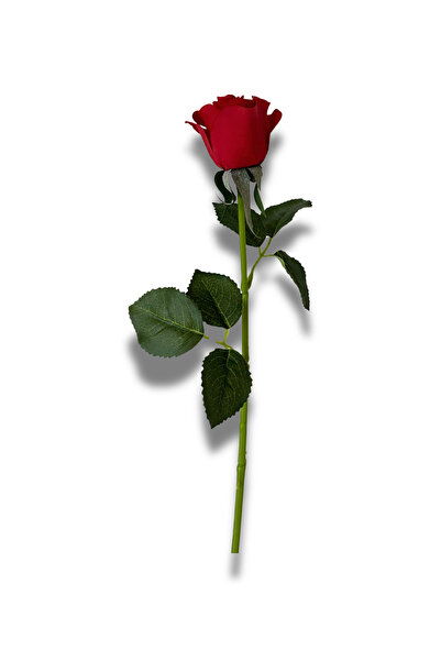 NilCan Flora زهرة صناعية مبللة وردة حمراء صغيرة