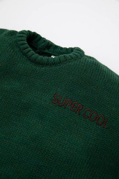 DeFacto Baby Boy Crew Neck Printed Knitwear Sweater C8868A524Wn
