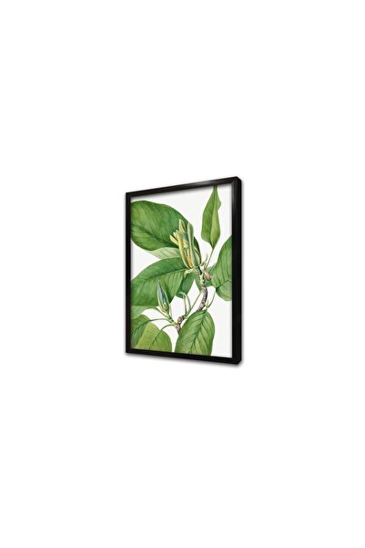 Tablosan Tablou MDF cu rama cu frunze verzi si albe