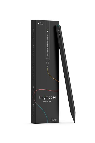 Tinymoose Pencil Pro – USB-C Fast Charging, Palm Rejection – 2nd Gen Stylus for iPad 2018 and Above