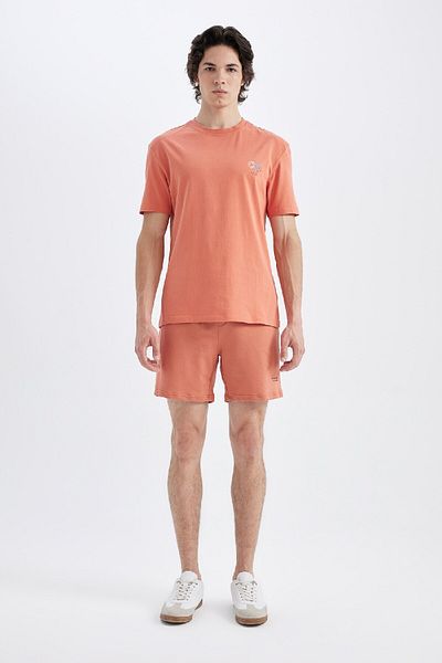 DeFacto Slim Fit Slim-Fit-Shorts mit schmalem Bein A3893ax24hs