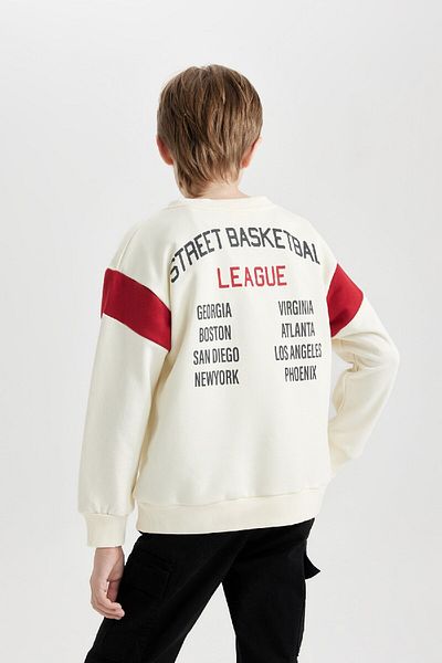 DeFacto Boy's Crew Neck Back Printed Thick Sweatshirt C9796A824Au