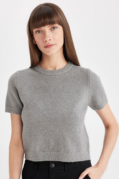 DeFacto Premium Regular Fit Crew Neck Knitwear Sweater - Short Sleeve C9049Ax24Wn