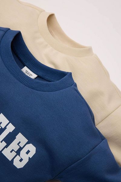 DeFacto Baby Boy Crew Neck με στάμπα μαλακό γούνινο λεπτό φούτερ 2 τεμαχίων D0706a524au