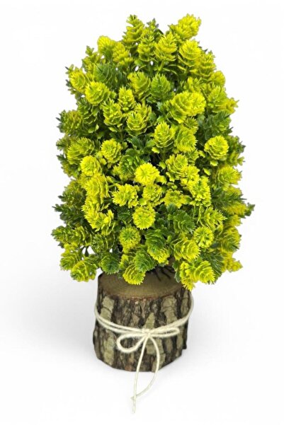 Nettenevime Yapay Çiçek Bonsai Ağacı Sarı Kozalaklı Kütük Saksıda Dekoratif Y...