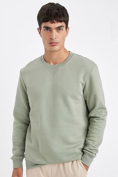 DeFacto Dickes, schlichtes Basic-Sweatshirt mit normaler Passform und Rundhalsausschnitt T3777az24au