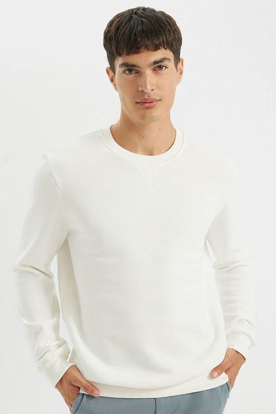 DeFacto Dickes, schlichtes Basic-Sweatshirt mit normaler Passform und Rundhalsausschnitt T3777az24au