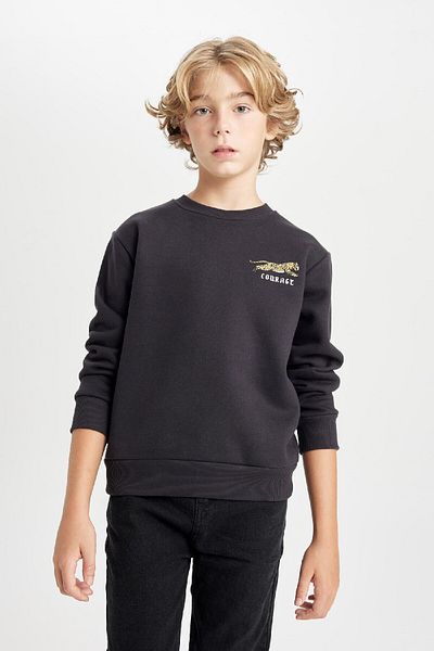 DeFacto Boy's Printed Crew Neck Printed Thick Black Sweatshirt D3091A824Au