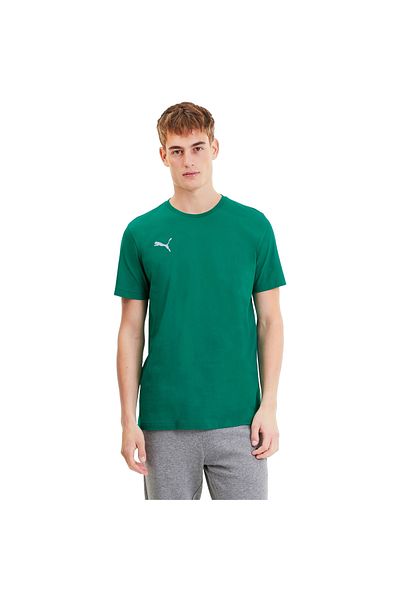 Puma T-shirt Puma Teamgoal 23 Casuals 2-pack, Green, Men