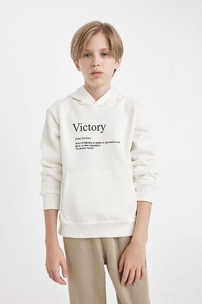 DeFacto Boy's Printed Hooded Thick Sweatshirt D3092A824Au