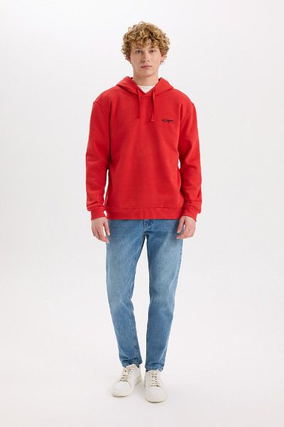 DeFacto Regular Fit Hooded Printed Sweatshirt D2693Ax24Au