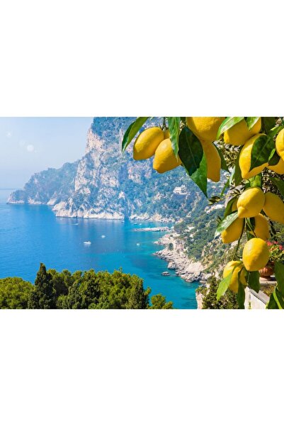 Zumzeria Tablou Canvas Beautiful Capri Coastline, 80x50cm, tabloucanvas968, Z...