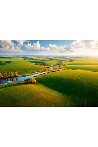 Zumzeria Tablou Canvas Aerial View Of Green Fields In Plain Summer, 80x50cm, tabloucanvas1070, Zumzeria ®