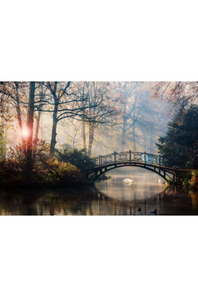 Zumzeria Καμβάς Tablou Γραφική Θέα του Ομιχλώδους Φθινοπώρου, 80x50εκ., tablo...