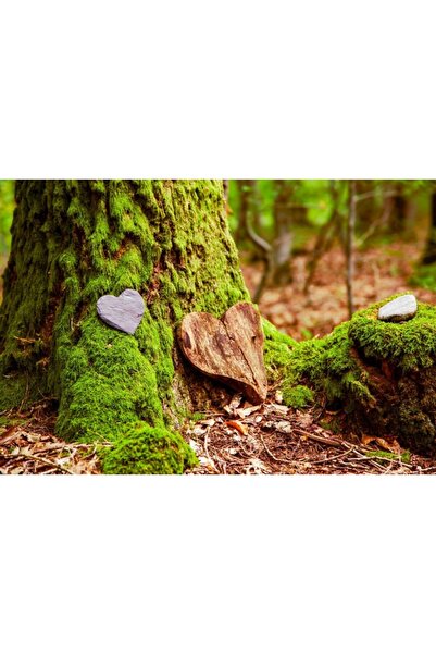 Zumzeria Πίνακας σε καμβά Αγάπη στη Φύση, 80x50εκ., πίνακας σε καμβά1059,