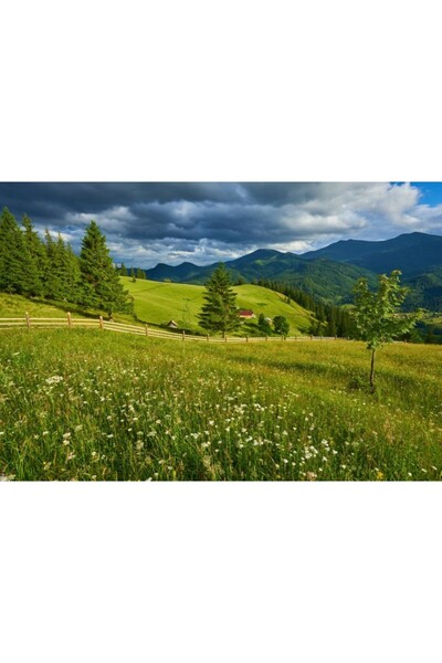 Zumzeria Καμβάς Tablou Φρέσκα πράσινα λιβάδια και ανθισμένα λουλούδια, 80x50ε...