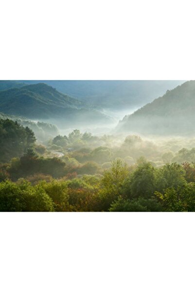 Zumzeria Tablou Canvas Scenariul de toamnă al unei grădini secrete în Coreea, 80x50cm, tabloucanvas614, Zumzeria ®