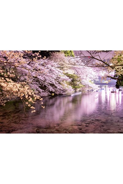 Zumzeria Tablou Canvas Beautiful April In Japan, 80x50cm, tabloucanvas907, Zu...