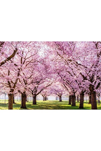 Zumzeria Tablou Canvas The Cherry Blossom Alley, 80x50cm, tabloucanvas387, Zu...