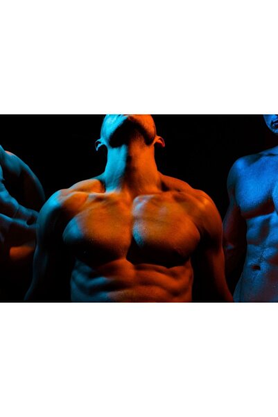 Zumzeria Tablou Canvas Set de mușchi ai corpului și umerilor, 80x50cm, tablou...