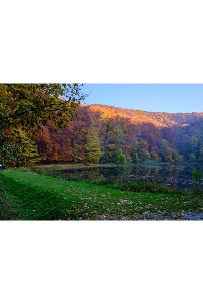 Zumzeria Tablou Canvas Un frumos peisaj de toamnă cu copaci colorați, 80x50cm, tabloucanvas661, Zumzeria ®