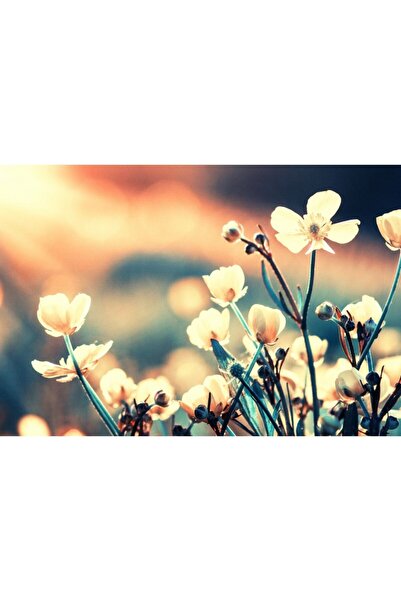 Zumzeria Πίνακας σε καμβά Όμορφα Άγρια Λουλούδια, 80x50εκ., canvaspainting603,