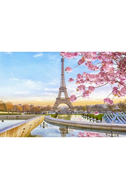 Zumzeria Tablou Canvas Cherry Blossom In Paris, 80x50cm, tabloucanvas864, ®