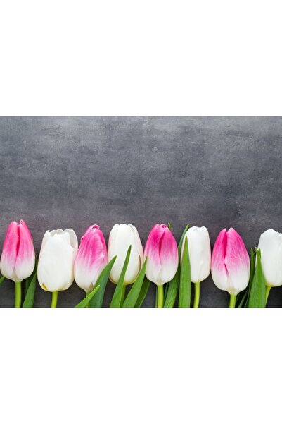 Zumzeria Tablou Canvas White And Pink Gentle Lalele, 80x50cm, tabloucanvas826...