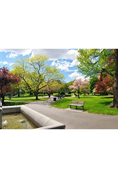 Zumzeria Tablou Canvas Beautiful Spring In Massachusetts, 80x50cm, tabloucanv...