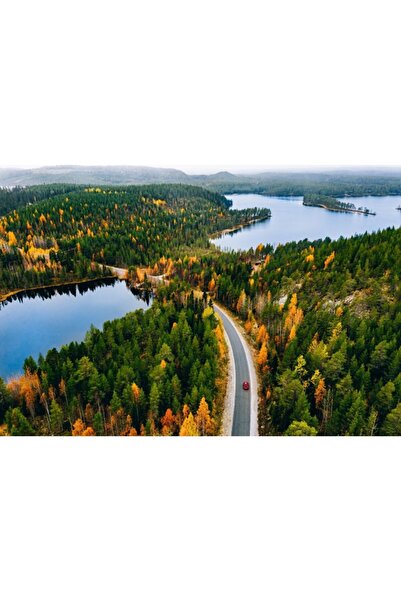 Zumzeria Tablou Canvas Drum Rural În Toamna Galben și Portocaliu, 80x50cm, ta...